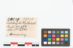 Etikett zu Bronzeamring (NHMW-PRAE-026238)